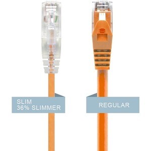 Alogic 30 cm Category 6 Network Cable for Network Device