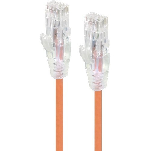 Alogic 30 cm Category 6 Network Cable for Network Device